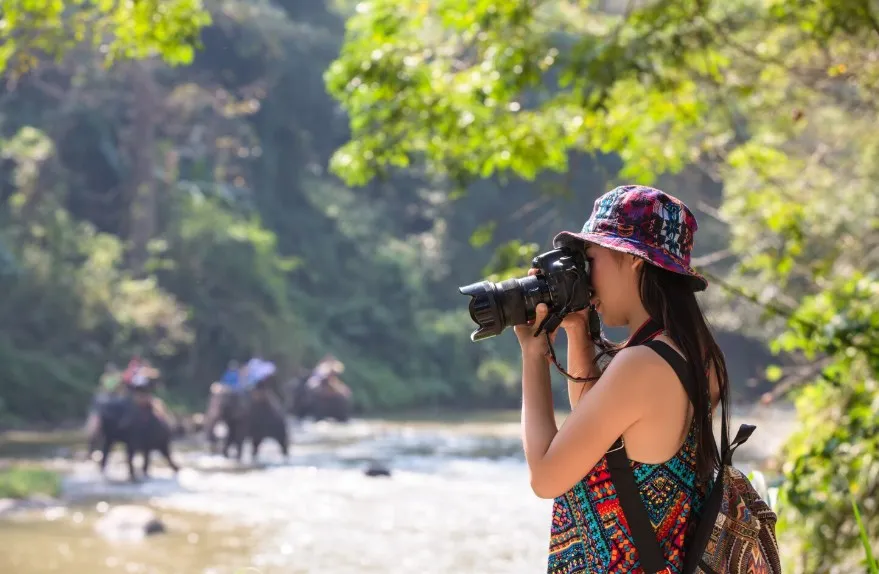 wildlife photography